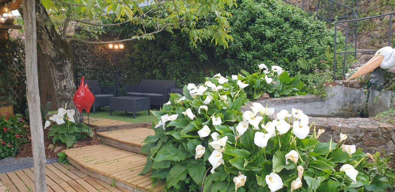 Casa Belavista Penela - Charming Guest House - Adults Only Zewnętrze zdjęcie