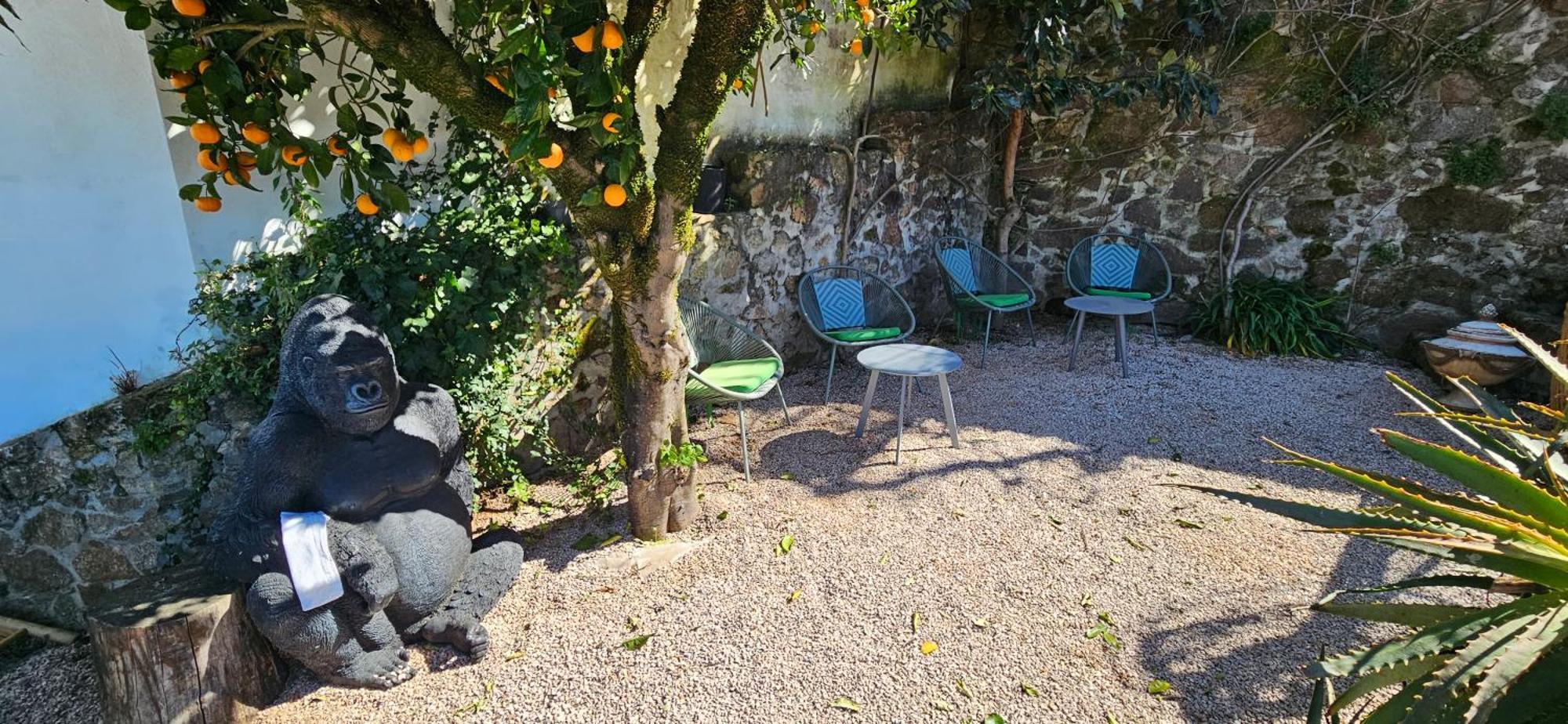 Casa Belavista Penela - Charming Guest House - Adults Only Zewnętrze zdjęcie